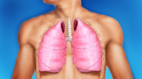 Оздоровление системы дыхания. Уничтожение инфекции